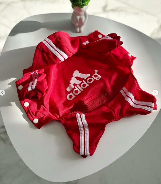 Костюм спортивный для собак с надписью "Adidog" S Красный (1789423392) - фото 2 Костюм спортивный для собак с надписью "Adidog" S Красный (1789423392) - фото 2