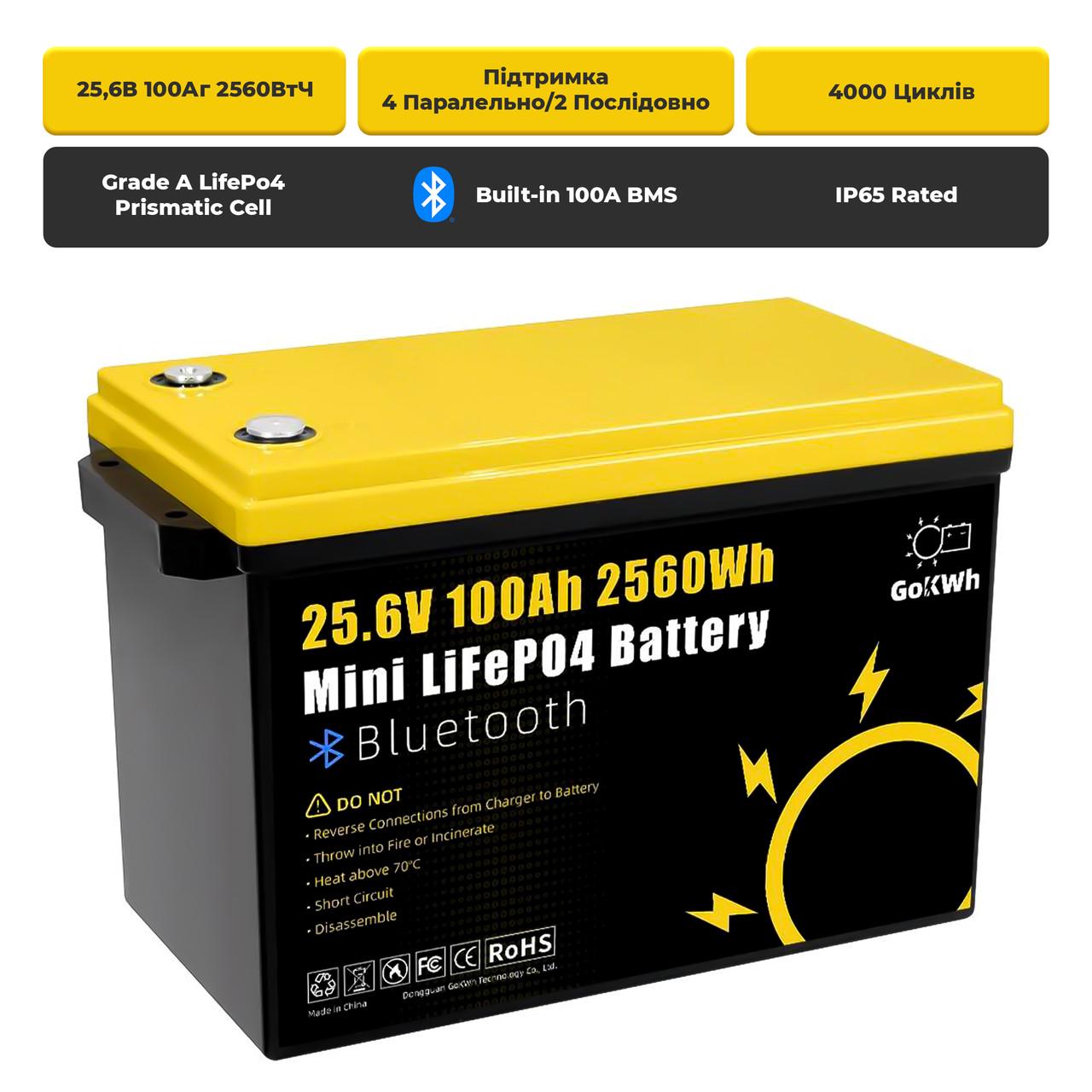 Аккумулятор литий-железо-фосфатный GoKWh 25,6V 100Ah LiFePo4 с Bluetooth и защитой BMS (AB2-BMS-3) - фото 2