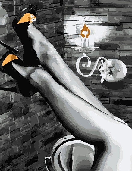 Картина по номерам Brushme Женские ножки (GX5005)