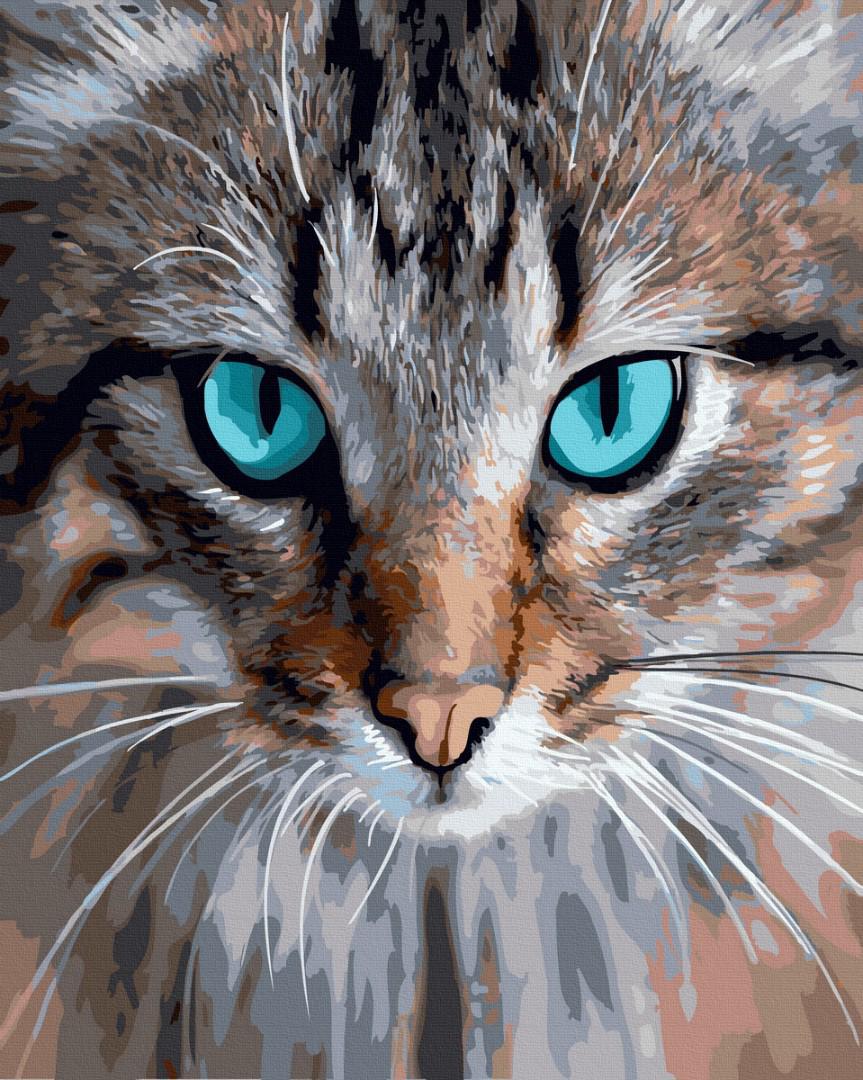 Картина по номерам Brushme Ледяной кошачий взгляд 40x50 см (GX40018)