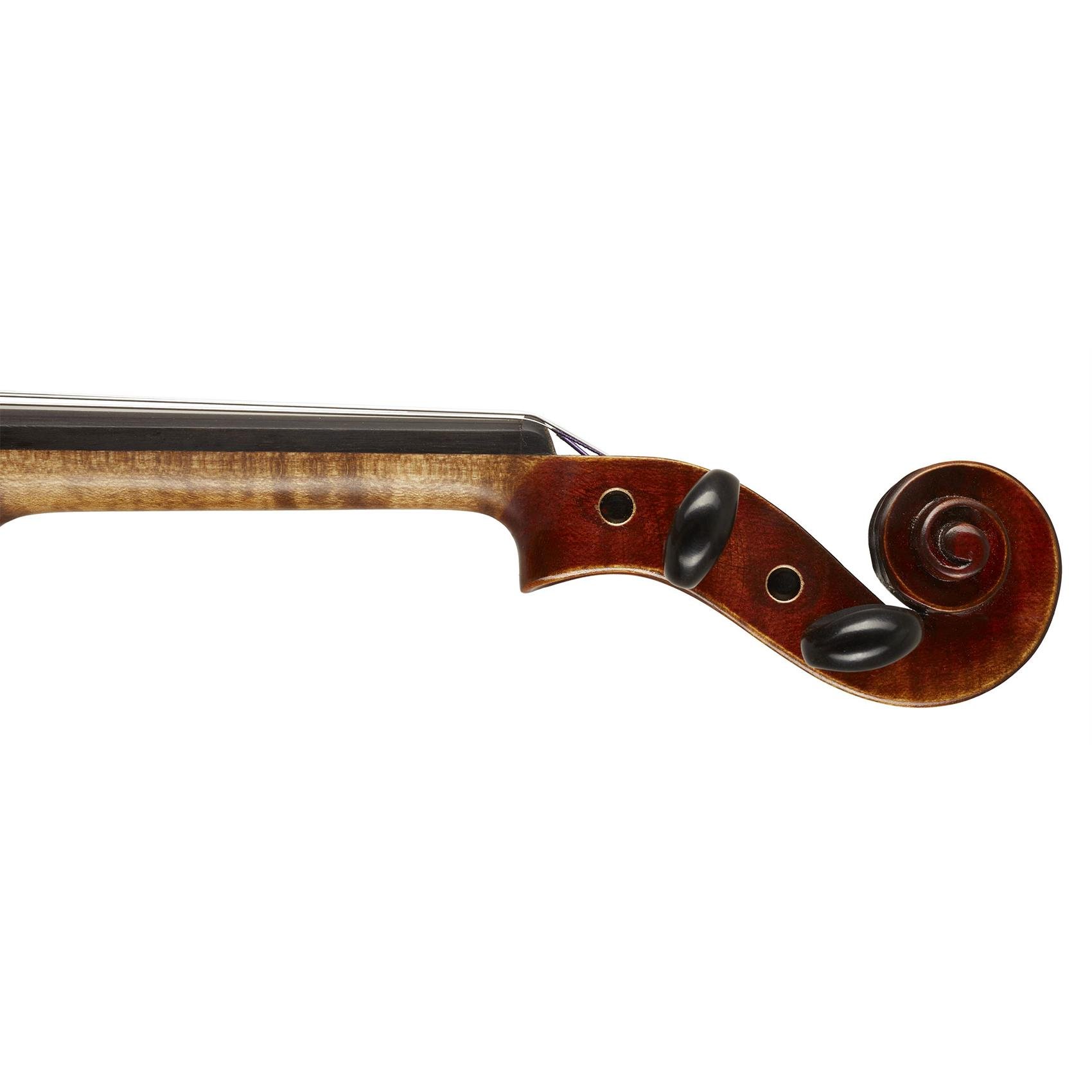 Скрипка Strunal Guarnerius 206 4/4 - фото 5 Скрипка Strunal Guarnerius 206 4/4 - фото 5