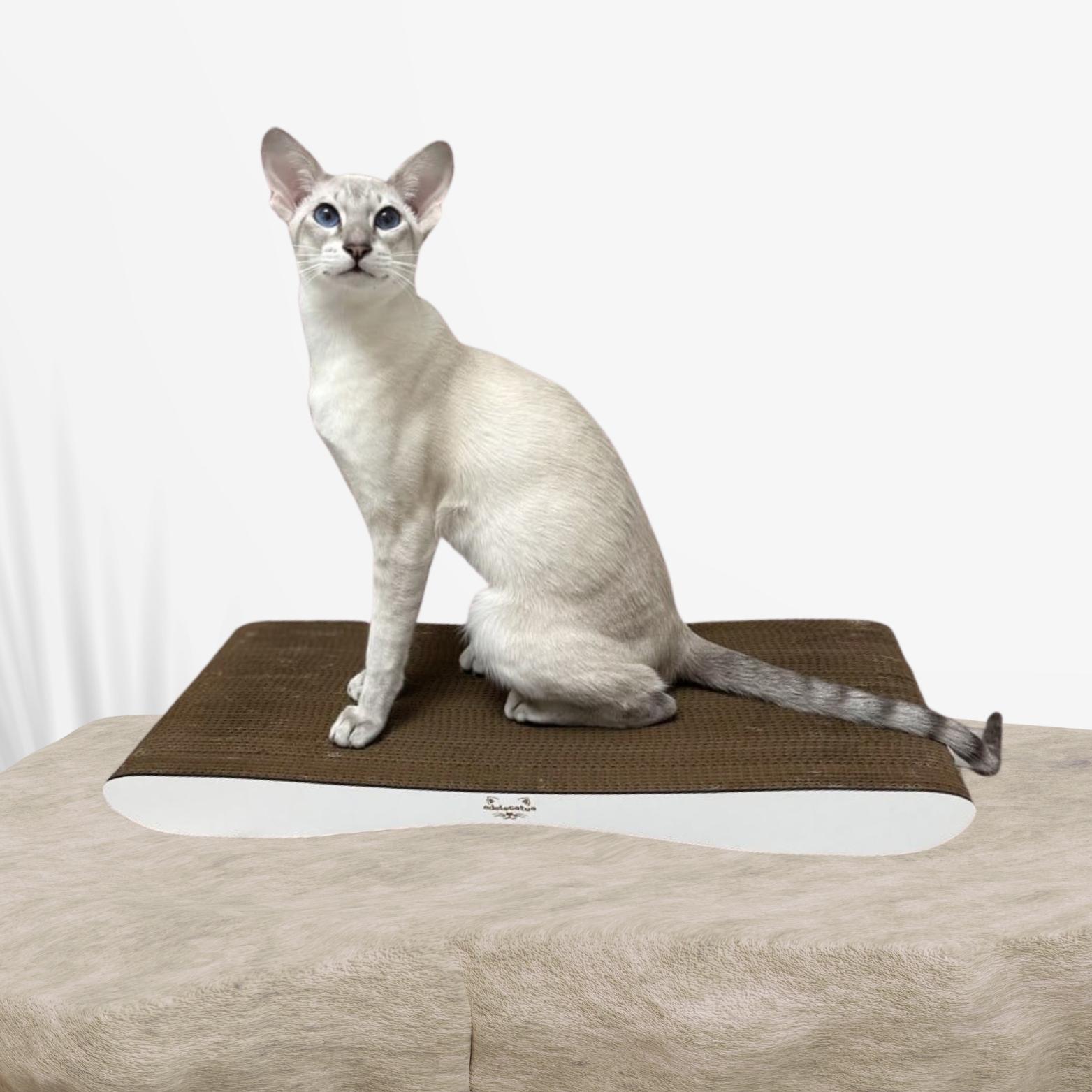 Кігтеточка-лежанка для котів Adelecat міні 57х5х25 см
