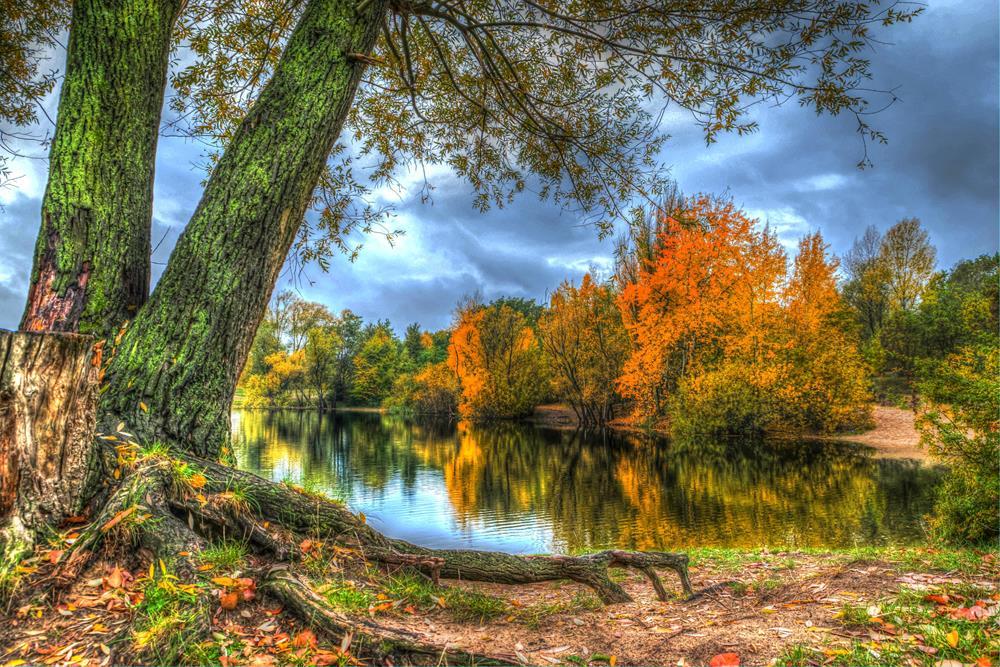 Картина на холсте Природа 55х85 см (N366)