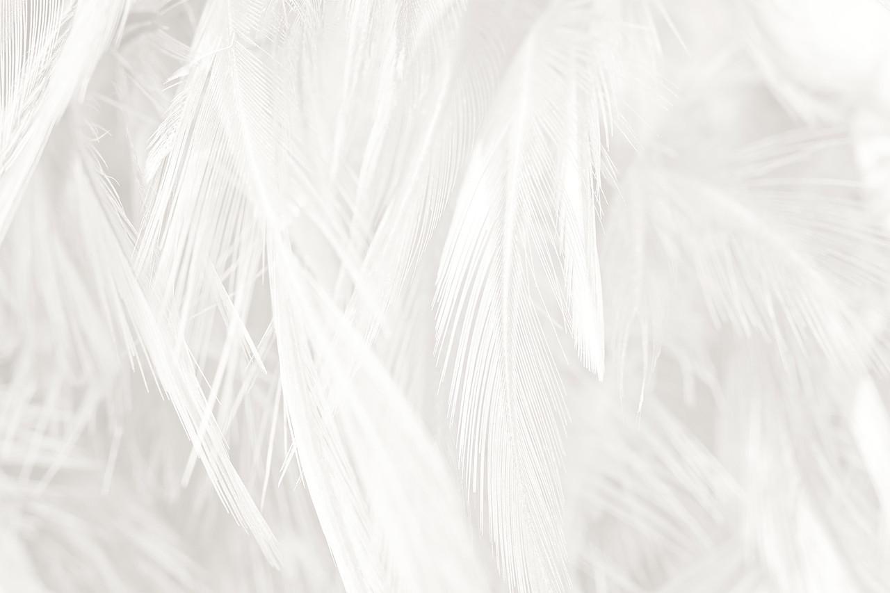 Фотофон виниловый Frontlit 90x60 см 450 г/м2 №56355 Фотофон виниловый Frontlit 90x60 см 450 г/м2 №56355