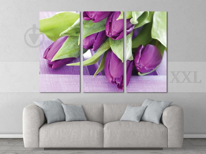 Модульна картина Poster-land Квіти Тюльпани Art-7_XXL