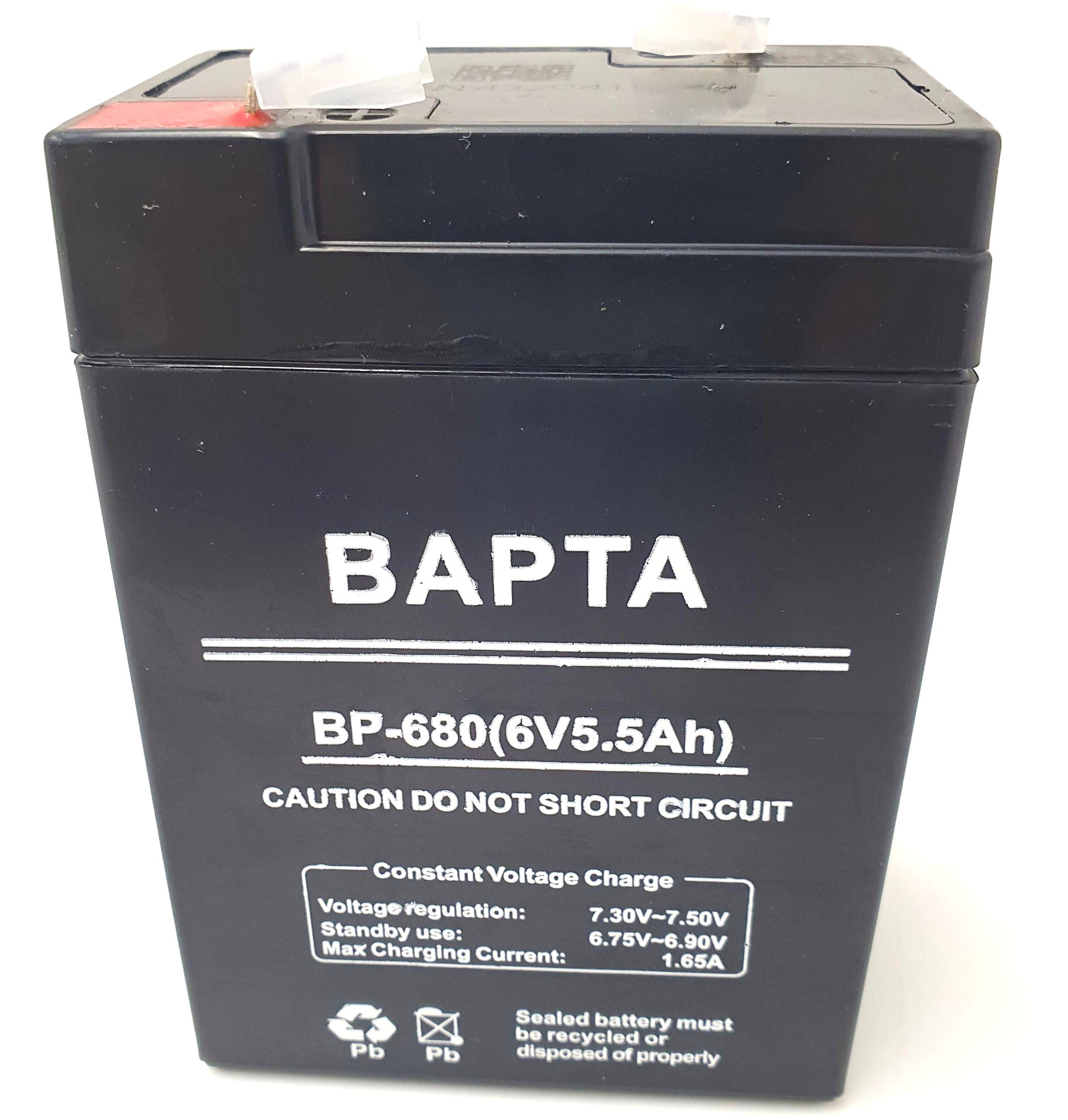 Аккумулятор BAPTA 3FM-6 6V 5.5A