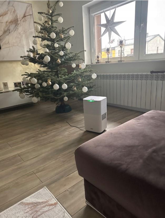 Осушитель воздуха EBERG RICO 12л/24 г/WiFi /таймер/гигростат - фото 21 Осушитель воздуха EBERG RICO 12л/24 г/WiFi /таймер/гигростат - фото 21