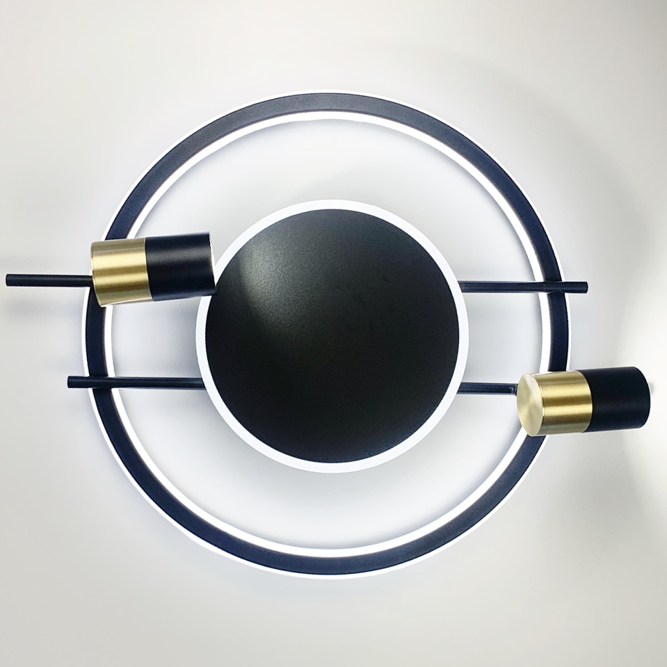 Світильник стельовий дизайнерський LED 2- споти/пульт Чорний (MJ53/2+LED)