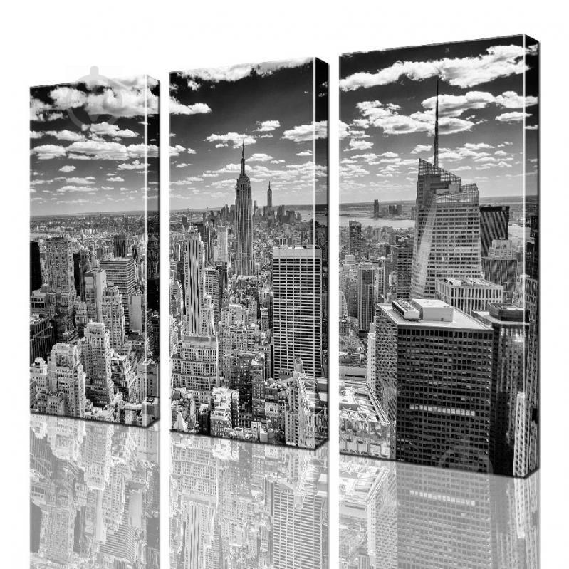 Модульная картина ArtStar ADG0175 размер 95 х 120 см