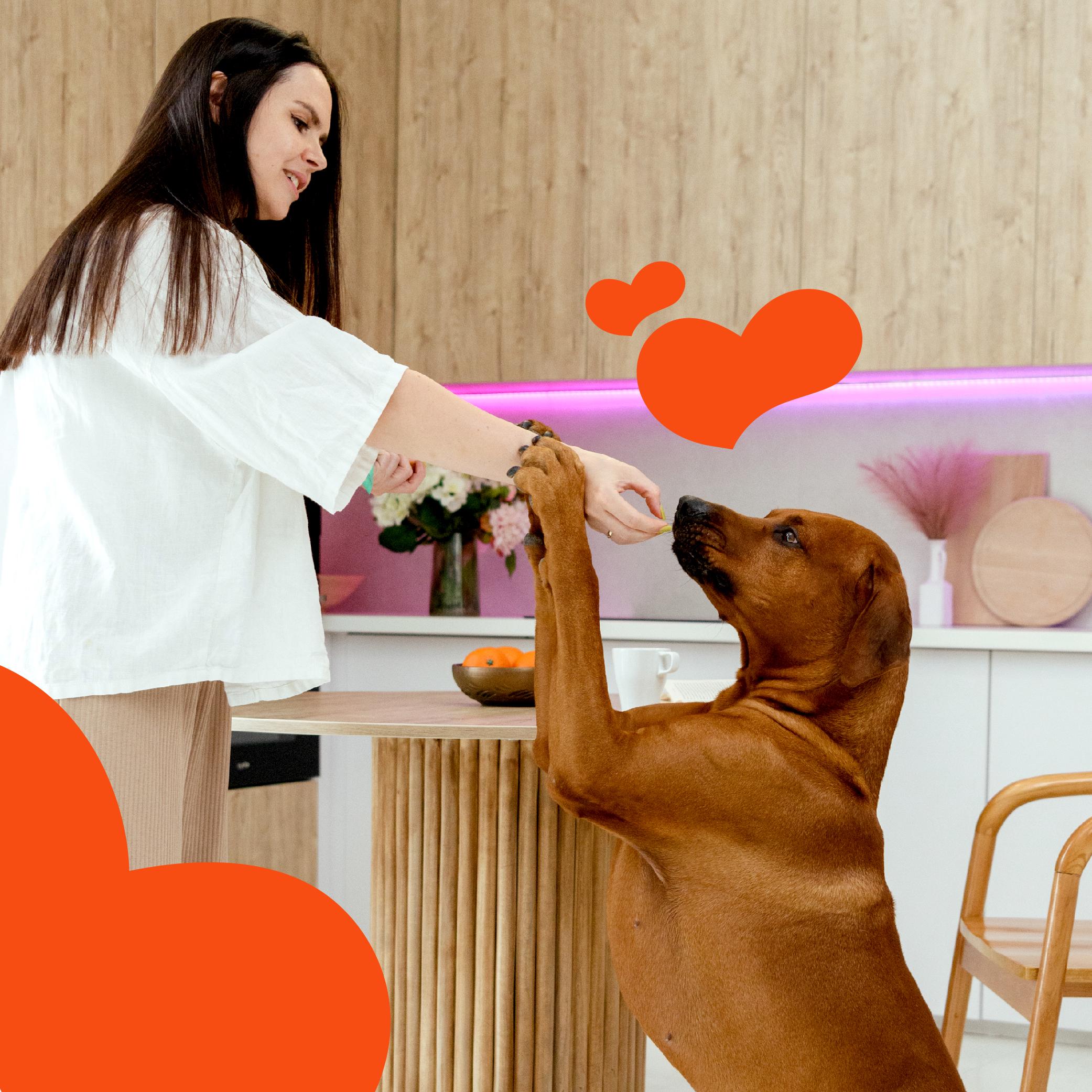 Ласощі для собак від 3 місяців Mavsy Refined jerky BBQ VENISON STEAK WITH SUN-DRIED TOMATOES ON A BED OF PUMPKIN 100 г - фото 6 Ласощі для собак від 3 місяців Mavsy Refined jerky BBQ VENISON STEAK WITH SUN-DRIED TOMATOES ON A BED OF PUMPKIN 100 г - фото 6