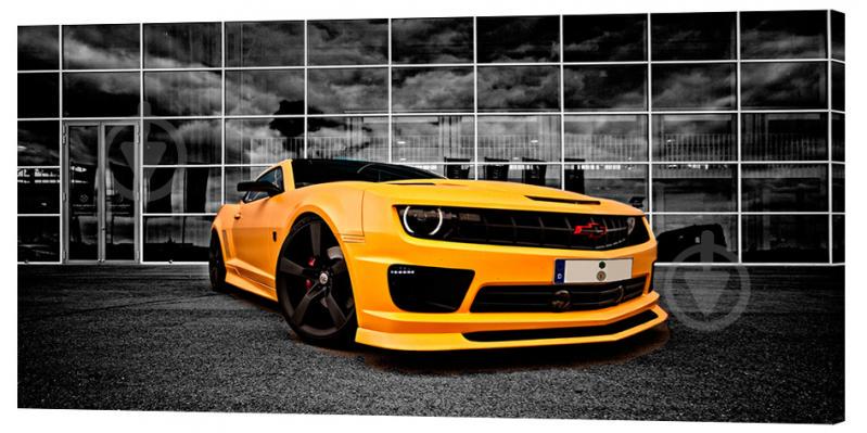 Картина на холсте Декор Карпаты Камаро 50х100 см (M803)