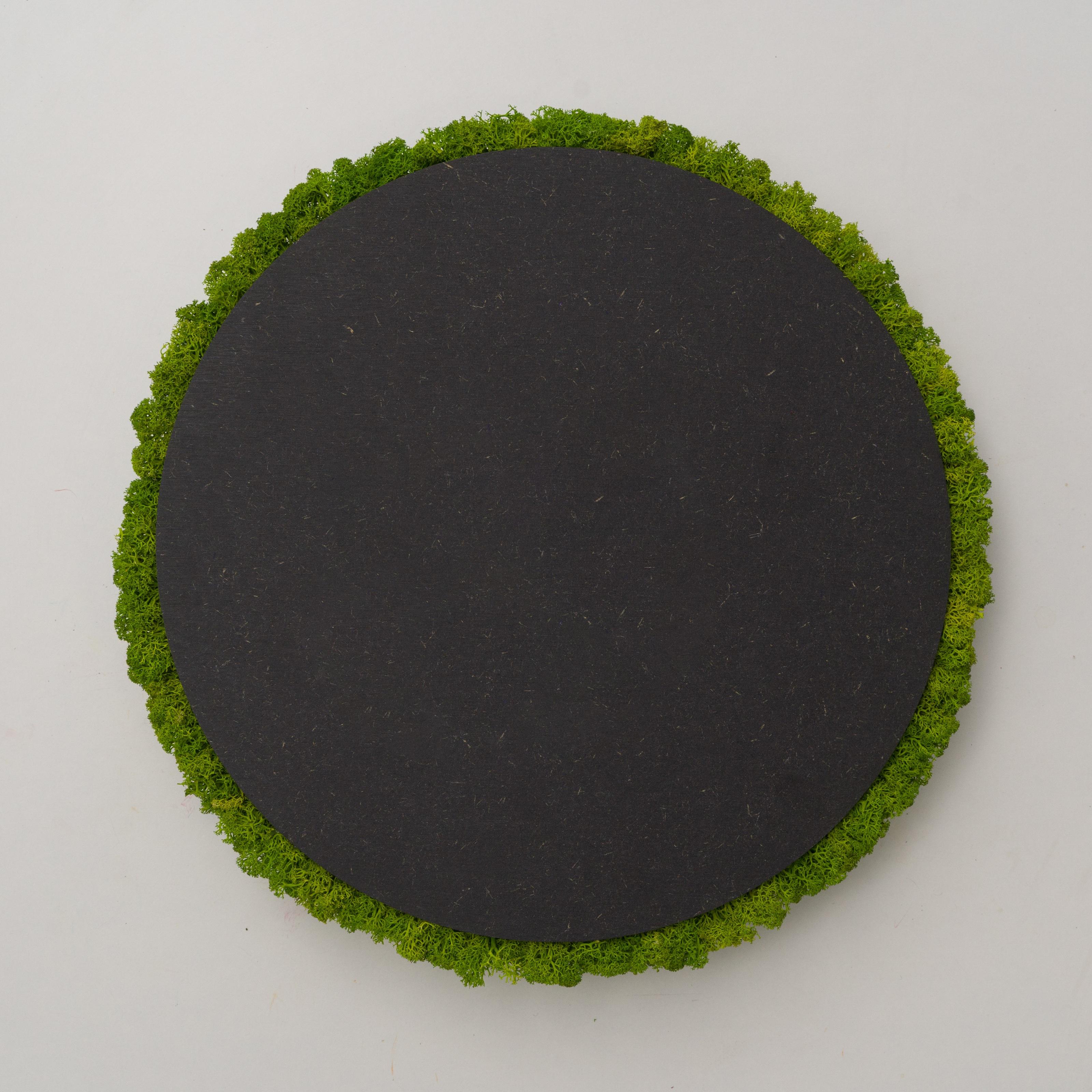 Декоративное панно из мха Organic Design d 33 см Light Green (701-02) - фото 4 Декоративное панно из мха Organic Design d 33 см Light Green (701-02) - фото 4