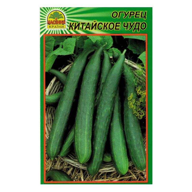 Семена огурца Насіння країни Китайское чудо 10 шт. (1137297675)