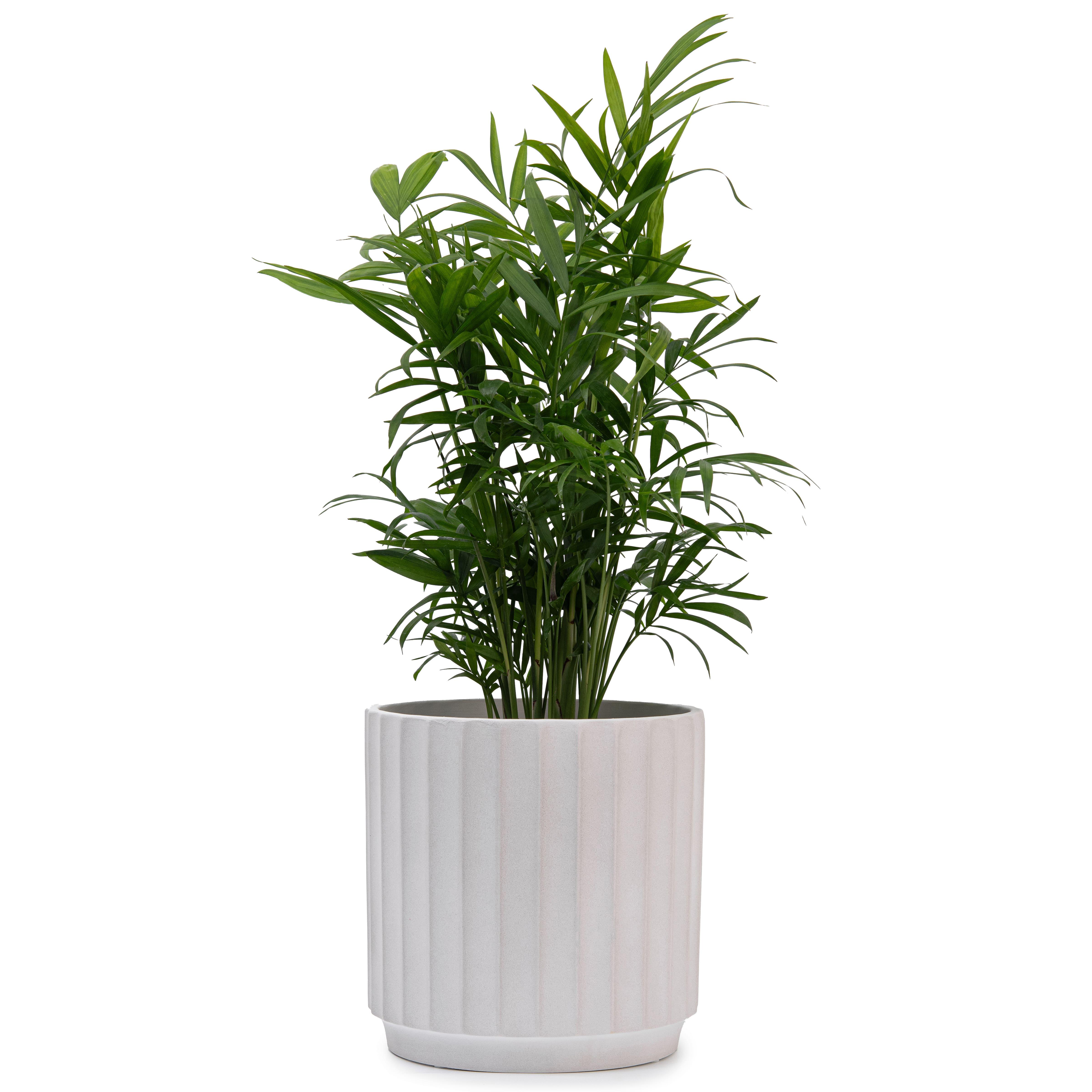 Кашпо для цветов керамическое elemi Грань круглый 2,4 л Белый (УТ-00094970) - фото 5