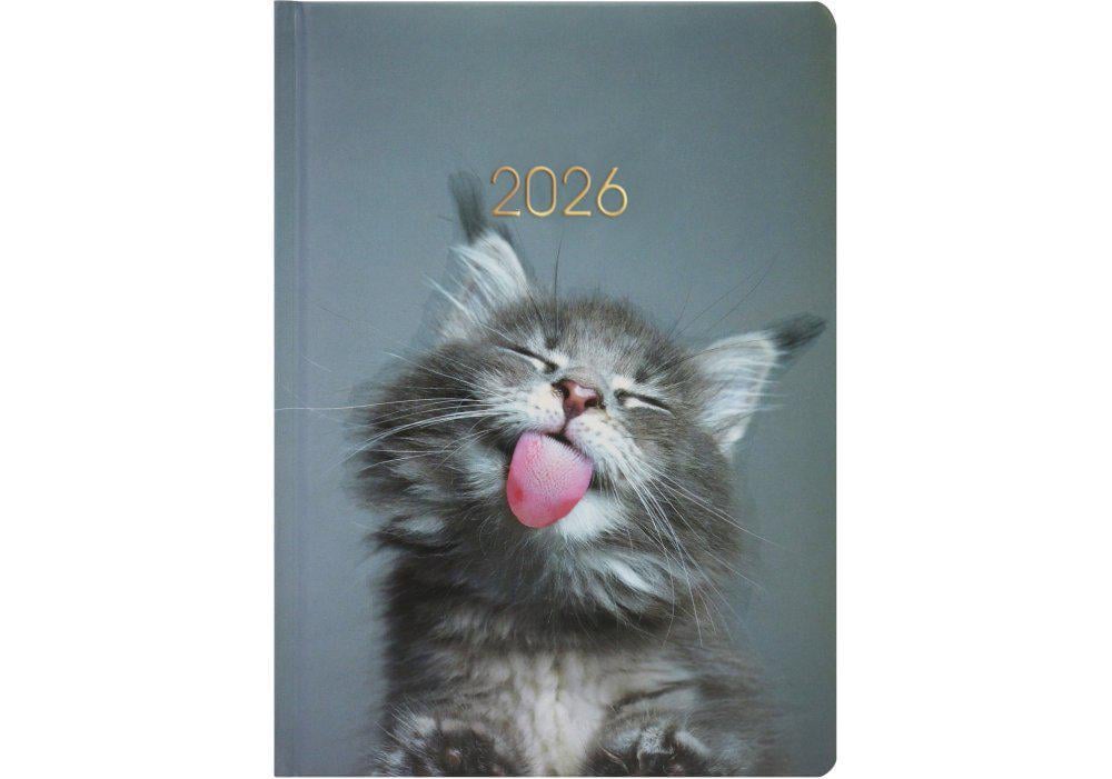 Дневник датированный 2026 Economix Color A5 336 стр. Разноцветный (E21842)