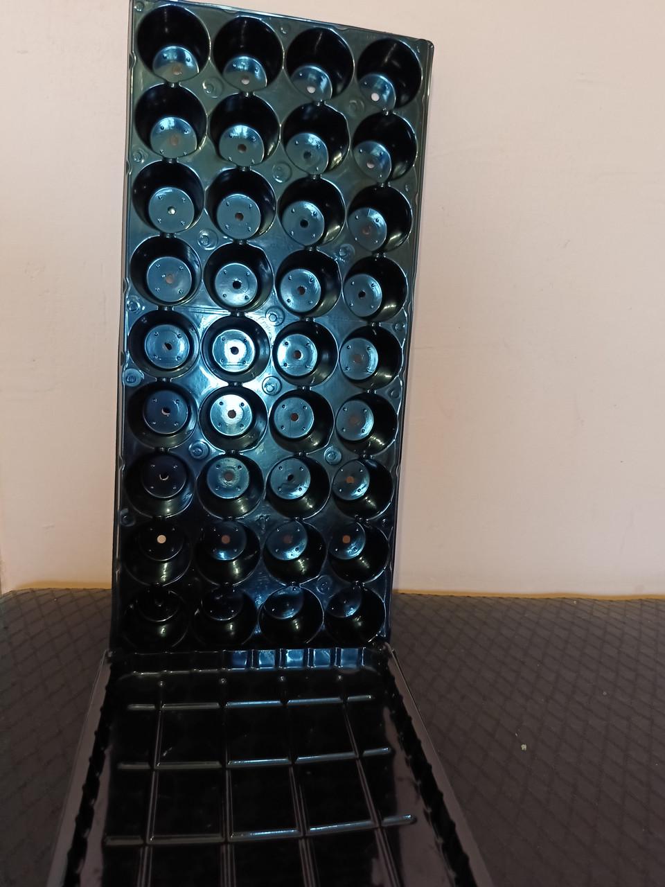 Касета для розсади на 36 комірок з піддоном (2319226143)