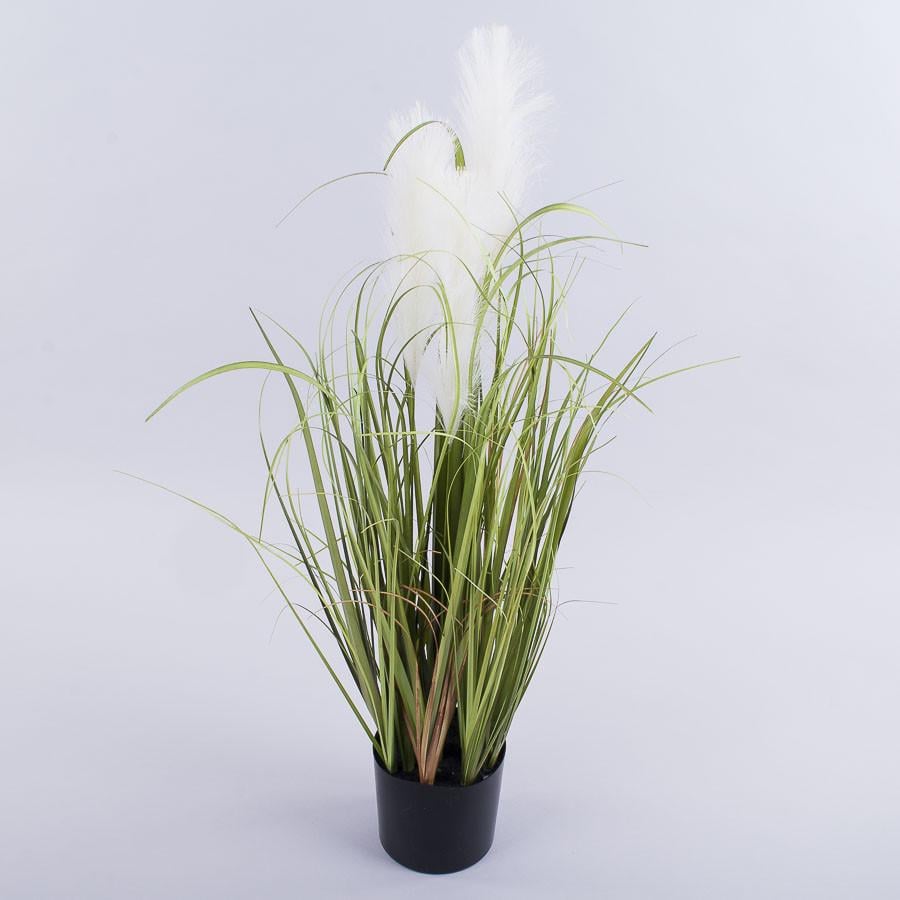 Трава пампас цветной в горшке 75см (белый)
