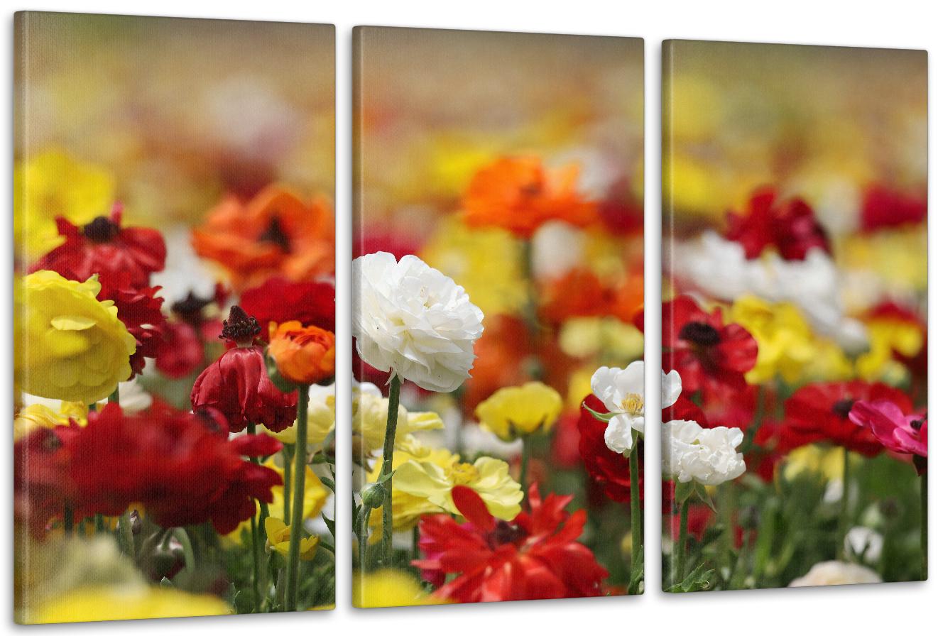 Картина модульная в гостиную/спальню Цветы в поле 53х100 см (ART-016_3A)