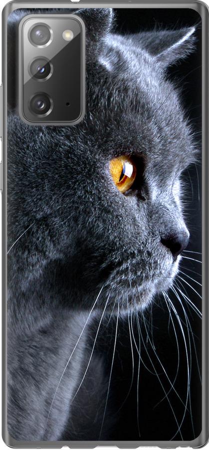 Чехол на Samsung Galaxy Note 20 Красивый кот (3038t-2036-42517)