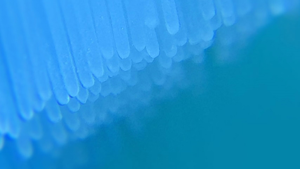 Насадки для зубної щітки Mijia Electric Toothbrush Mini DDYST02SKS 3 шт. White - фото 6