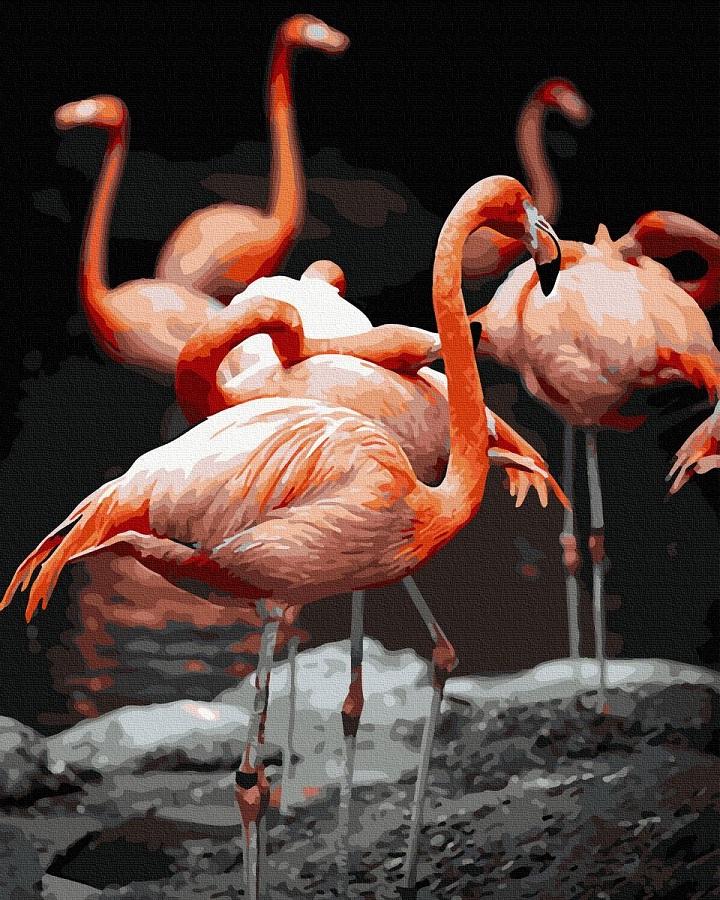 Картина по номерам Фламинго (GX40304)