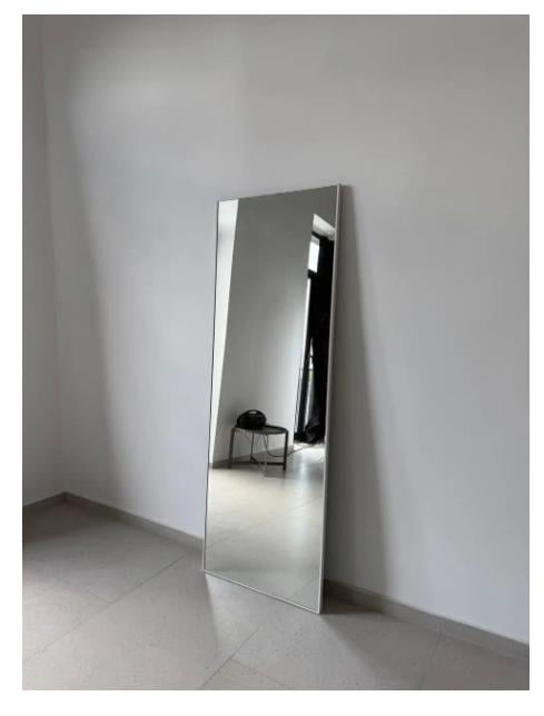 Зеркало настенное Al в алюминиевой раме 2000х600 мм Белый (29452056) Зеркало настенное Al в алюминиевой раме 2000х600 мм Белый (29452056)