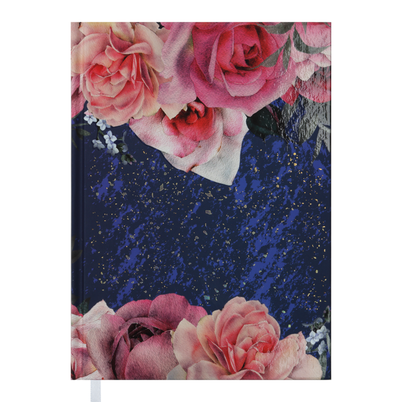 Дневник Buromax Estilo A5 288 листов Сине-розовый (BM.2007-02)