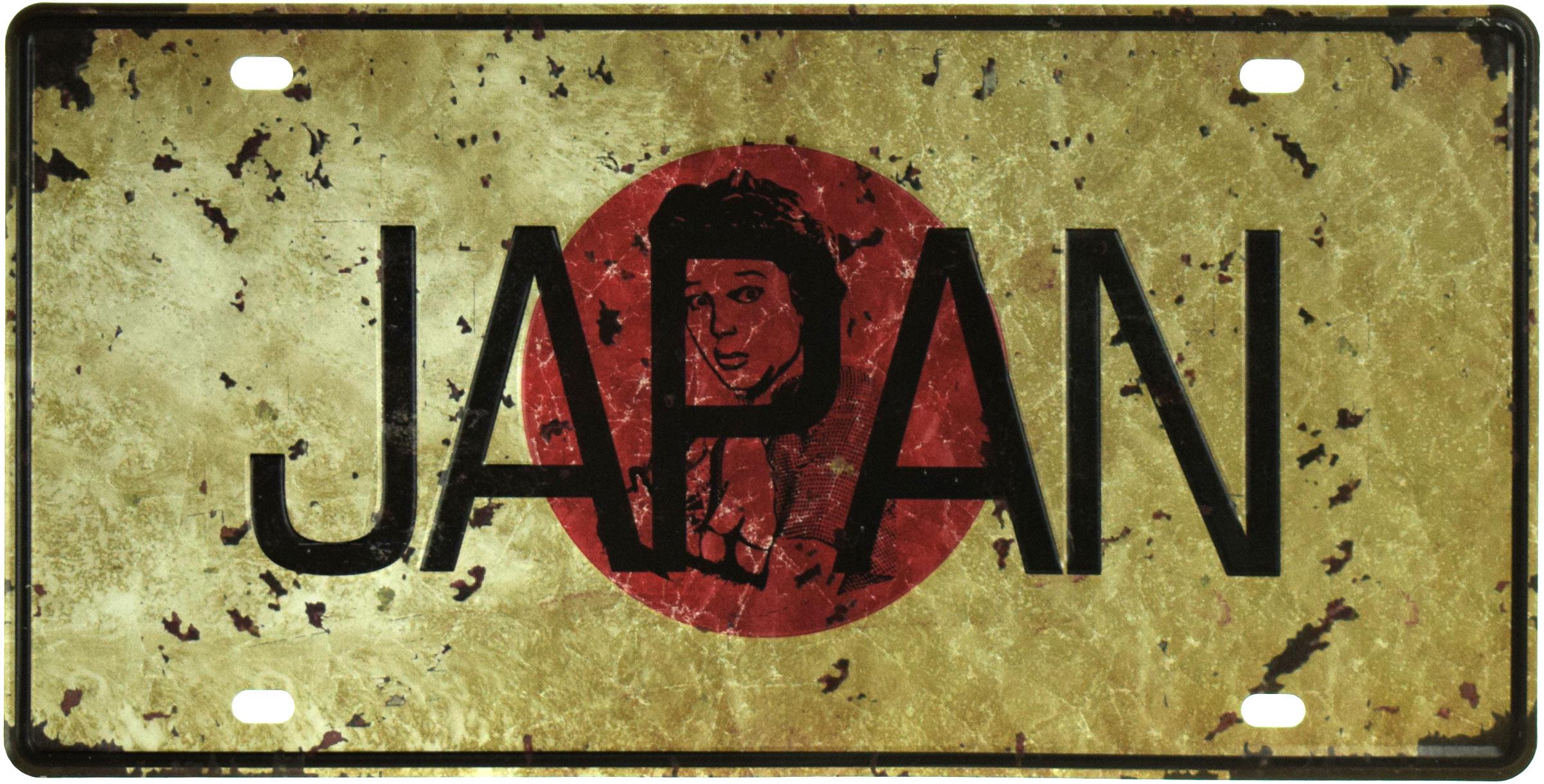 Табличка металлическая /Japan 15x30 см