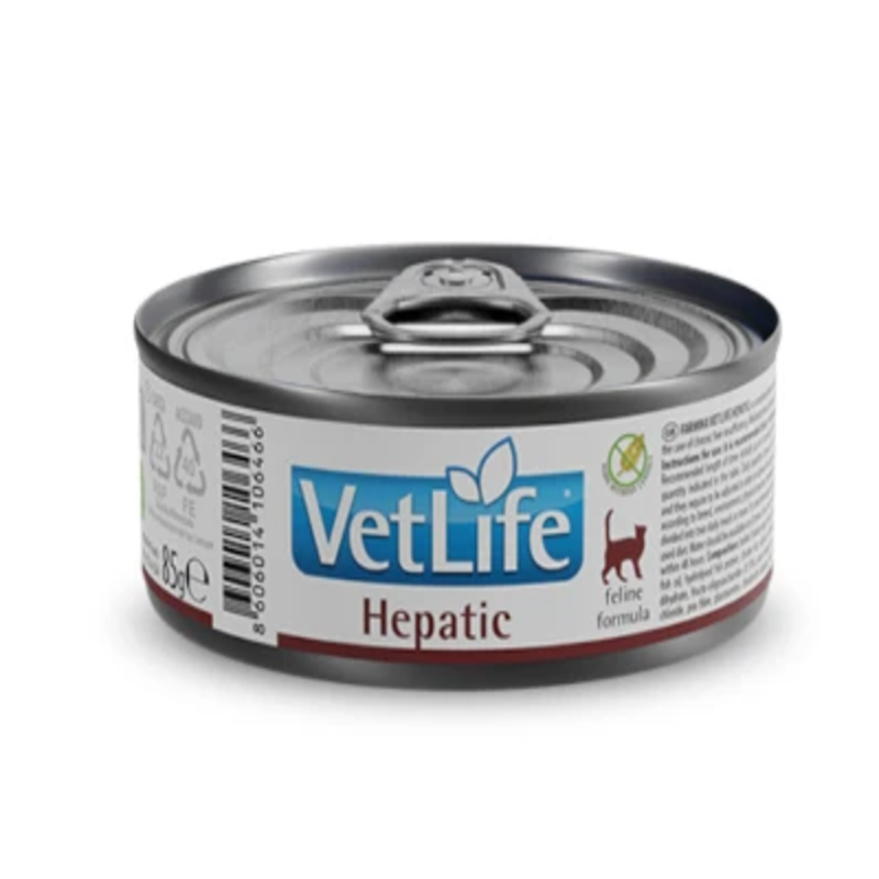 Корм влажный Farmina Vet Life для кошек при хронической печеночной недостаточности 85 г (2998381552) Корм влажный Farmina Vet Life для кошек при хронической печеночной недостаточности 85 г (2998381552)