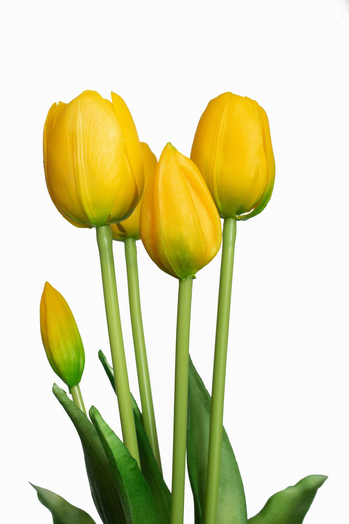 Тюльпан букет Indigo Lux 3 головы 2 бутона 40 см Желтый (778-6) - фото 6 Тюльпан букет Indigo Lux 3 головы 2 бутона 40 см Желтый (778-6) - фото 6