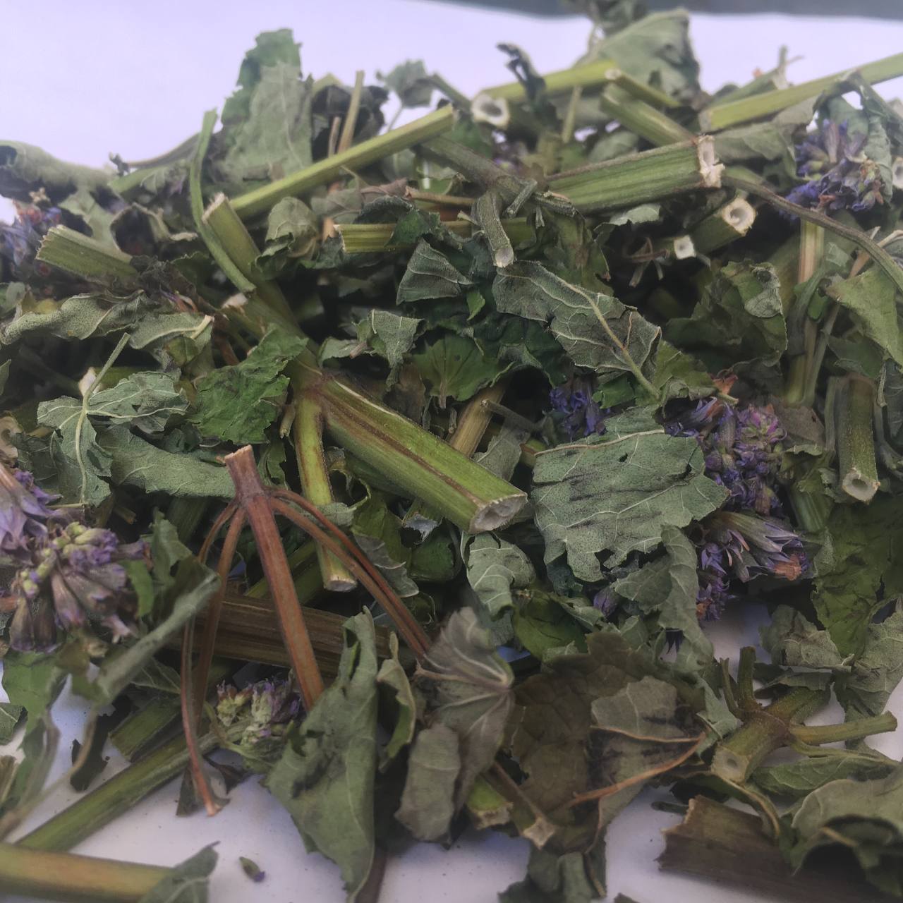 Лафант анисовый тибетский Карпаты 50 г (6291d0fbed80544ef1529512) - фото 1 Лафант анисовый тибетский Карпаты 50 г (6291d0fbed80544ef1529512) - фото 1