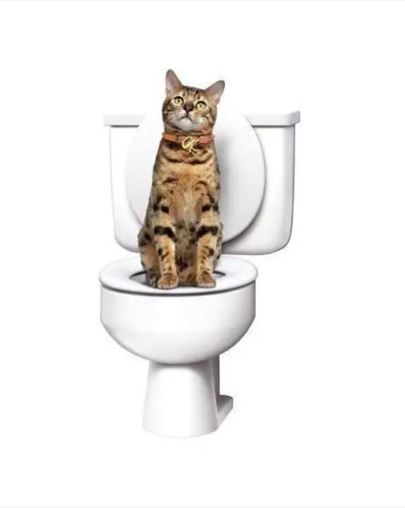 Системы приучения кошек к унитазу Citi Kitty Cat Toilet Training (1977880974) - фото 3