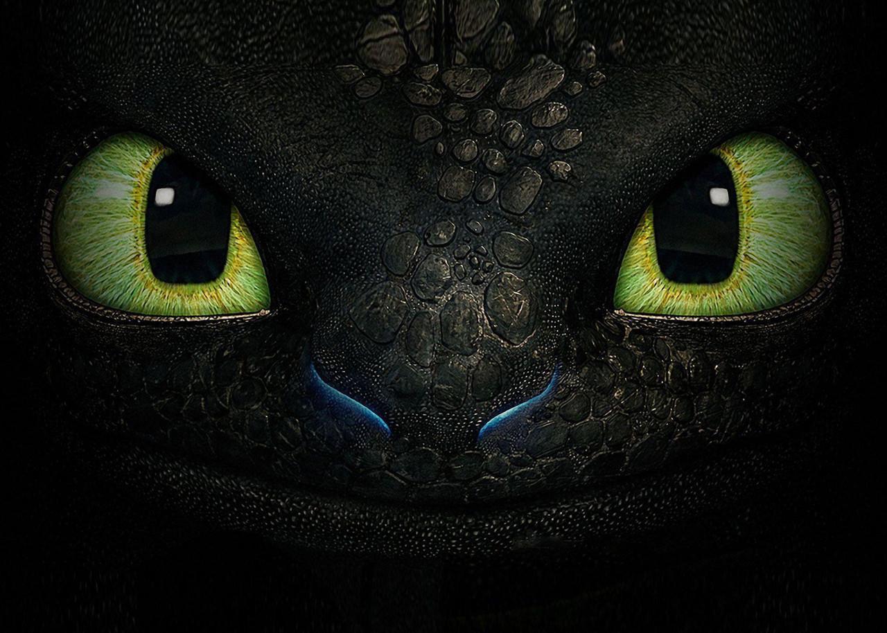 Картина GeekLand How to train your dragon (HD.09.018)