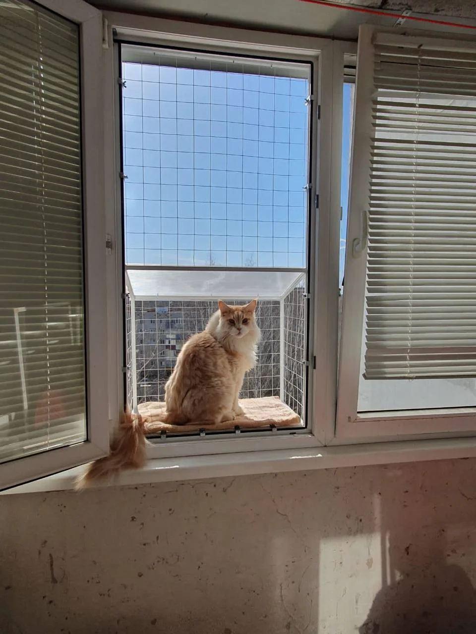 Балкон для котів підвісний прямокутний 490х420х640 см Білий (001) - фото 2 Балкон для котів підвісний прямокутний 490х420х640 см Білий (001) - фото 2