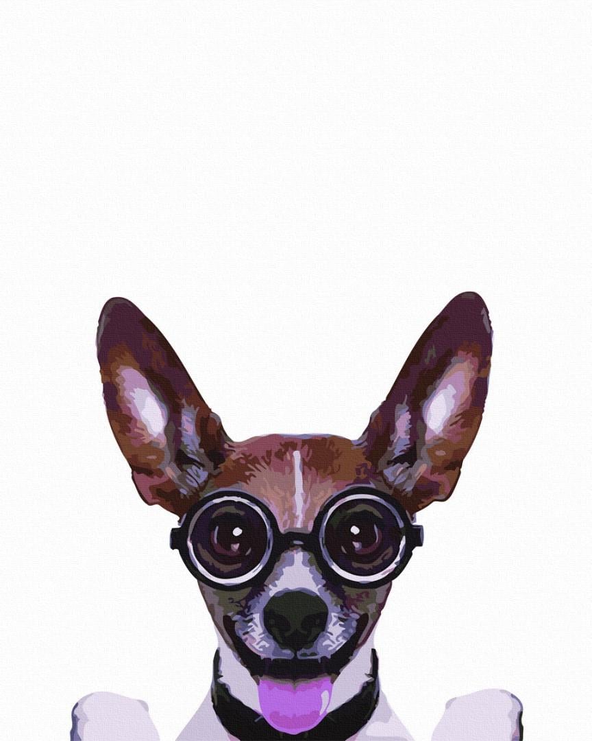 Картина по номерам BrushMe Полет нормальный 40х50 см (GX5805)