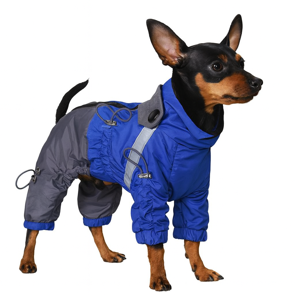 Дощовик для собак хлопчиків Diego Rain New р. 1 Синьо-сірий (124181864)