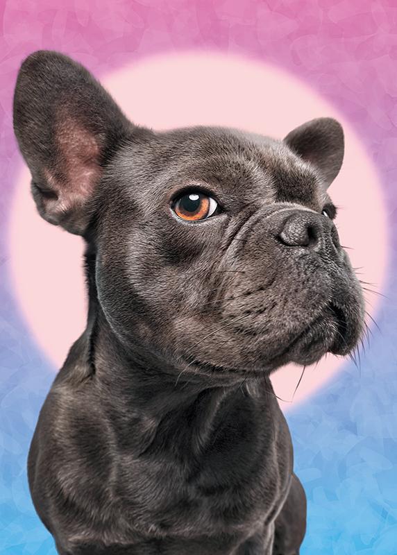 Пазли CherryPazzi «Я спостерігаю за тобою» 50x70 см 1000 деталей (30097)