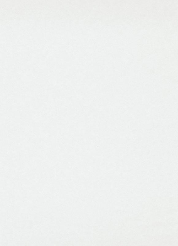 Малярный флизелин под покраску Erismann Rollover 3333-6 150 гр. 25х1,06 м