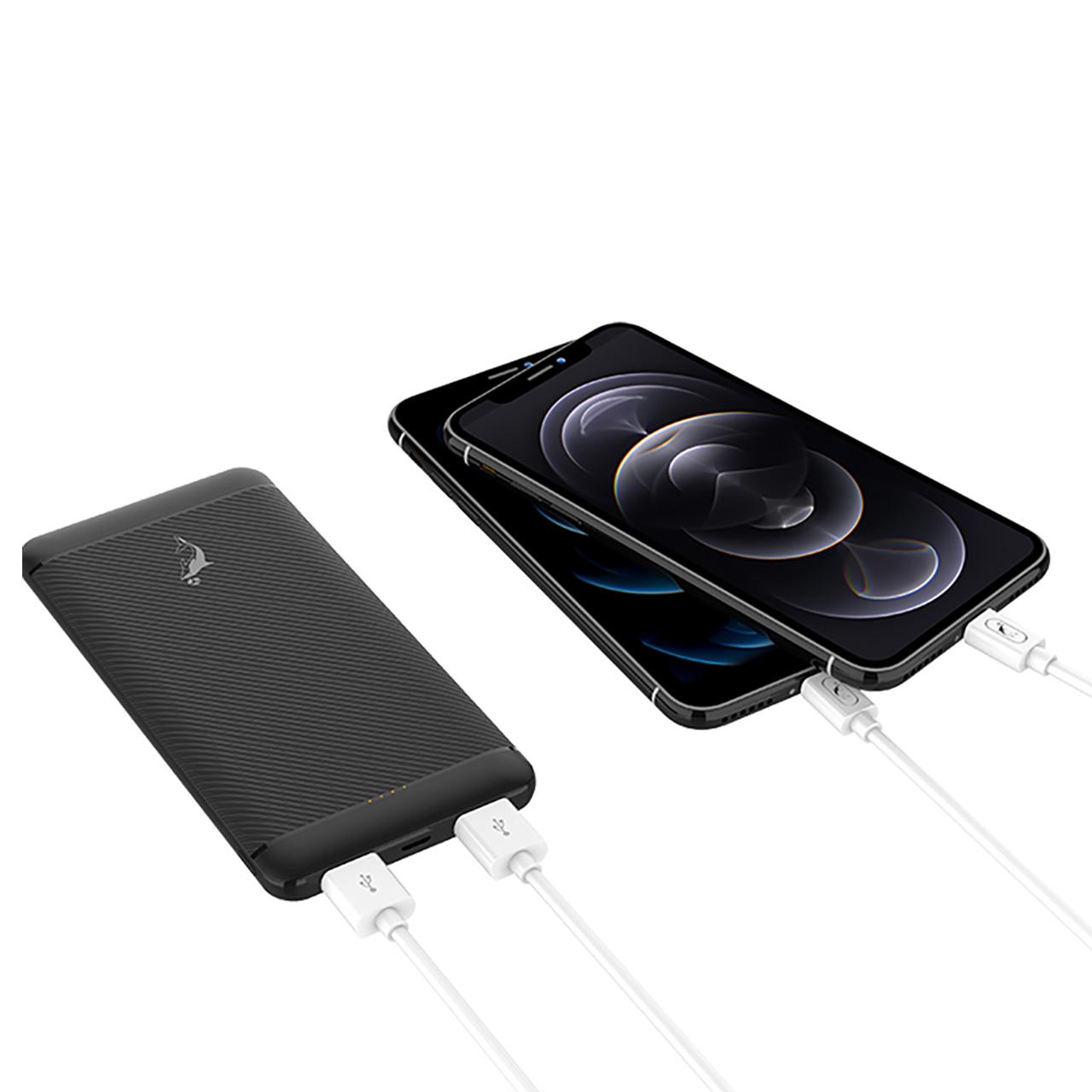 Портативное зарядное устройство Power Bank SkyDolphin SP22 10000 mAh LED Light MicroUSB/Type-C Black (180711) - фото 2