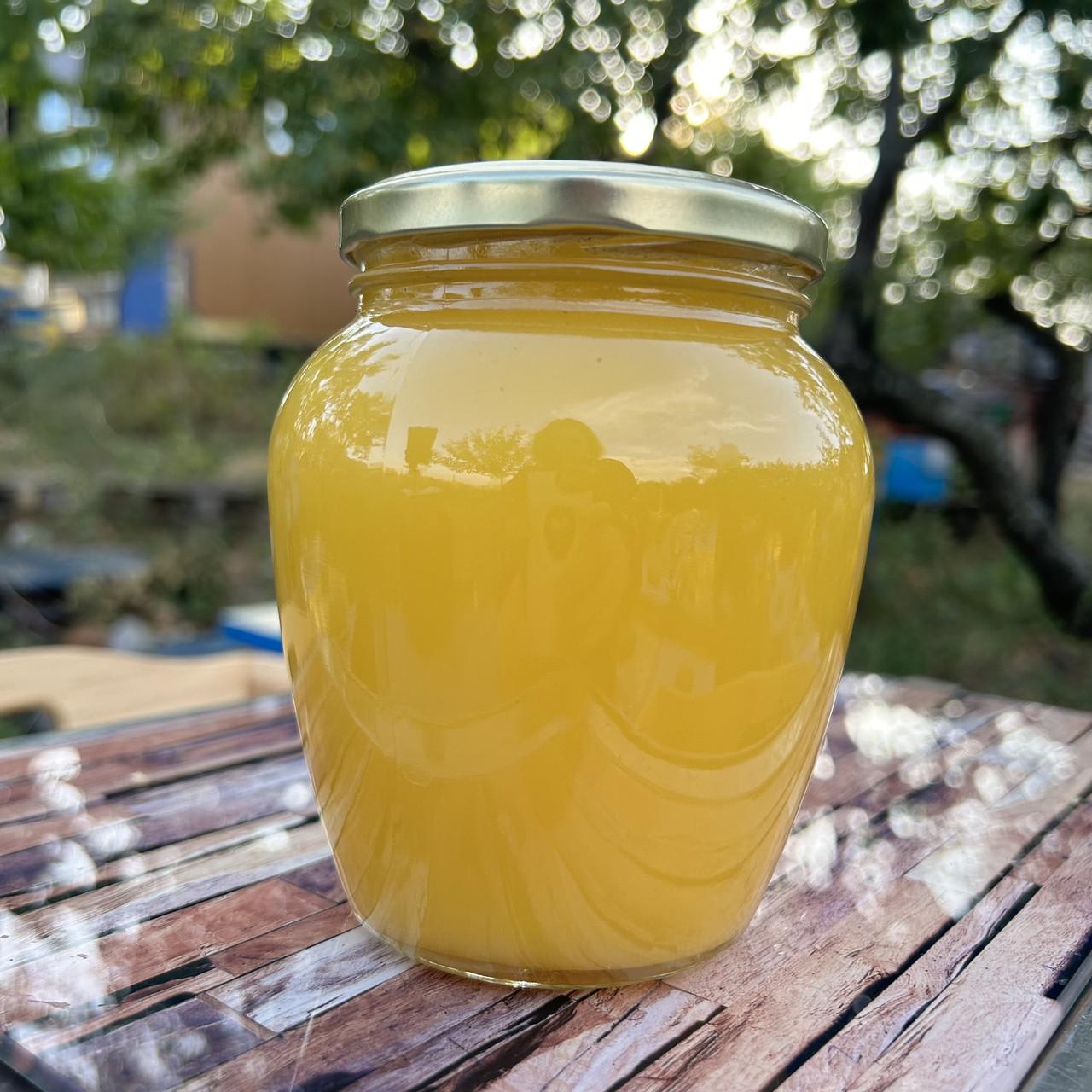 Мед Разнотравье/подсолнечник из кочевой пасеки 2025 г. 0,7 л/1 кг (2689742392)