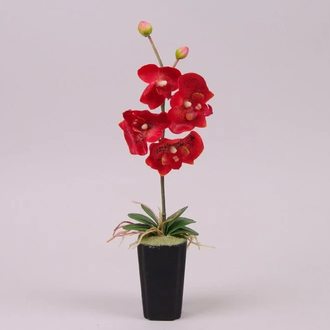 Декорация фаленопсис Flora Красный (7354)