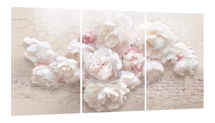 Картина модульная на холсте DK Белые пионы 100x180 см (MK30046 X)
