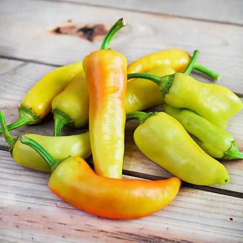 Семена Перець Florium Акорд F1 (15896)