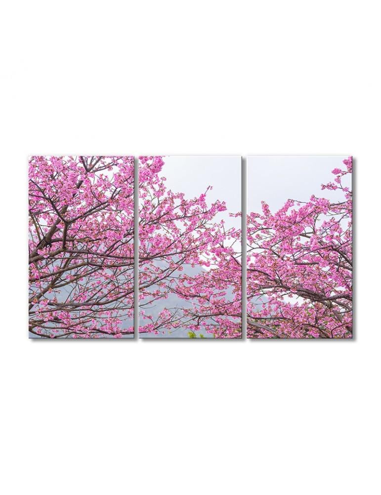 Картина модульная Сакура 3 модуля 70x105 см