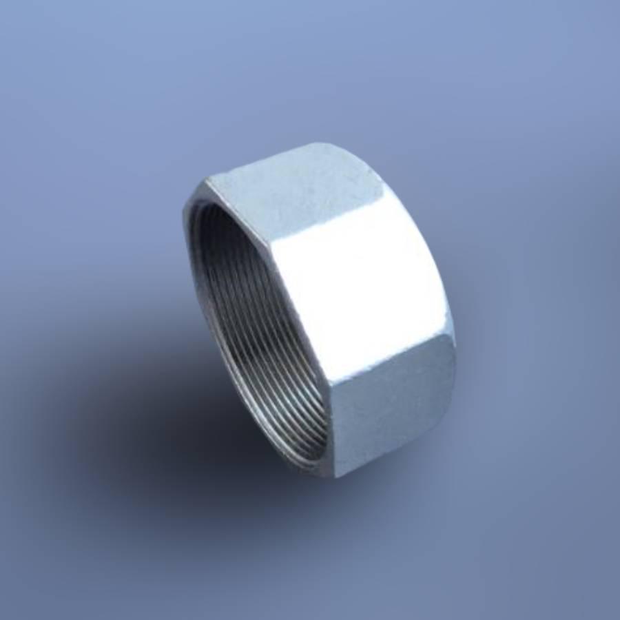 Заглушка резьбовая восьмигранная DN65 BSPP н/ж сталь AISI304 Class-150 внутренняя резьба 2-1/2" (29203238) - фото 11 Заглушка резьбовая восьмигранная DN65 BSPP н/ж сталь AISI304 Class-150 внутренняя резьба 2-1/2" (29203238) - фото 11