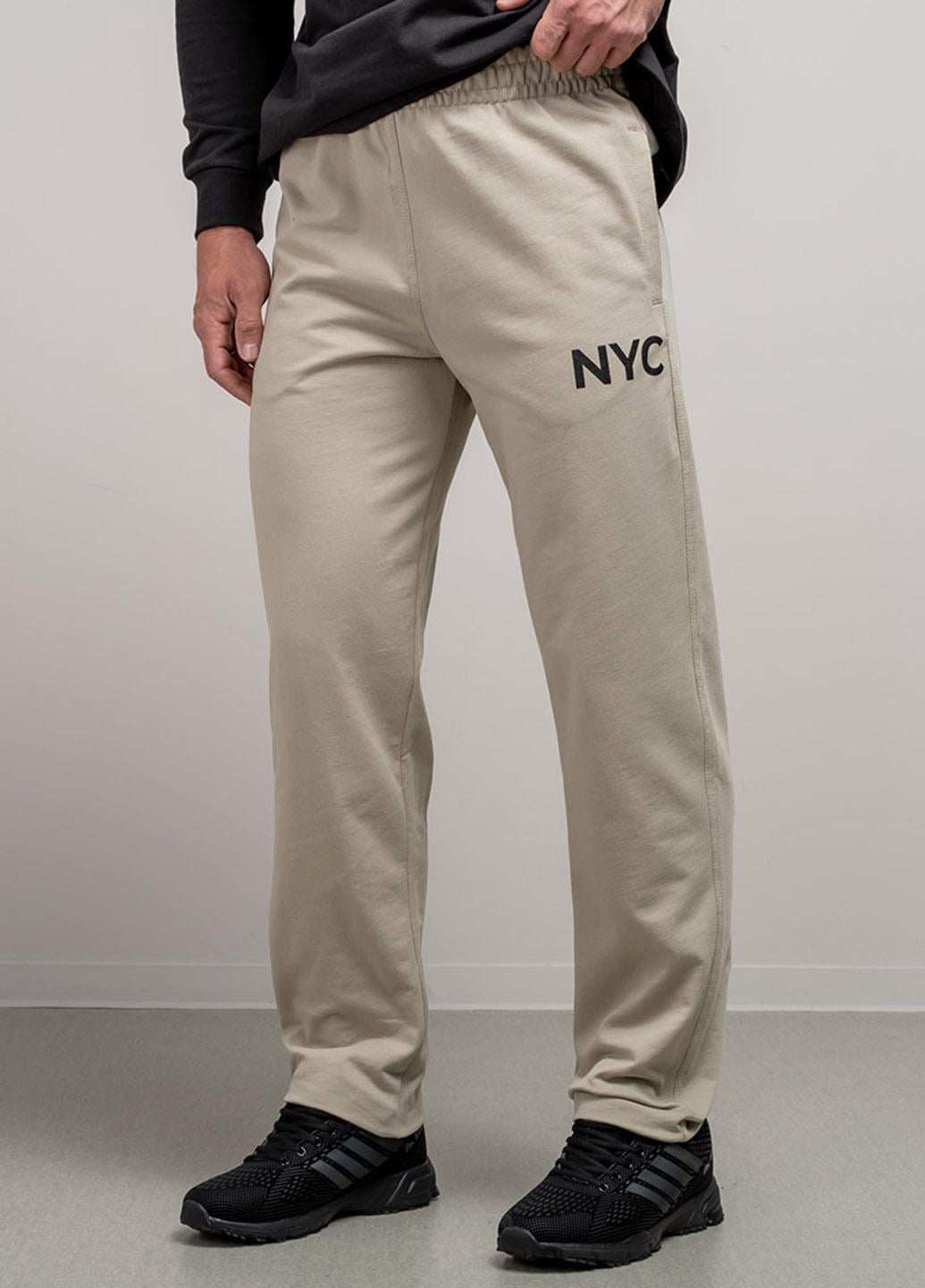 Спортивные штаны мужские Power 102748 L Бежевый (102748_L)