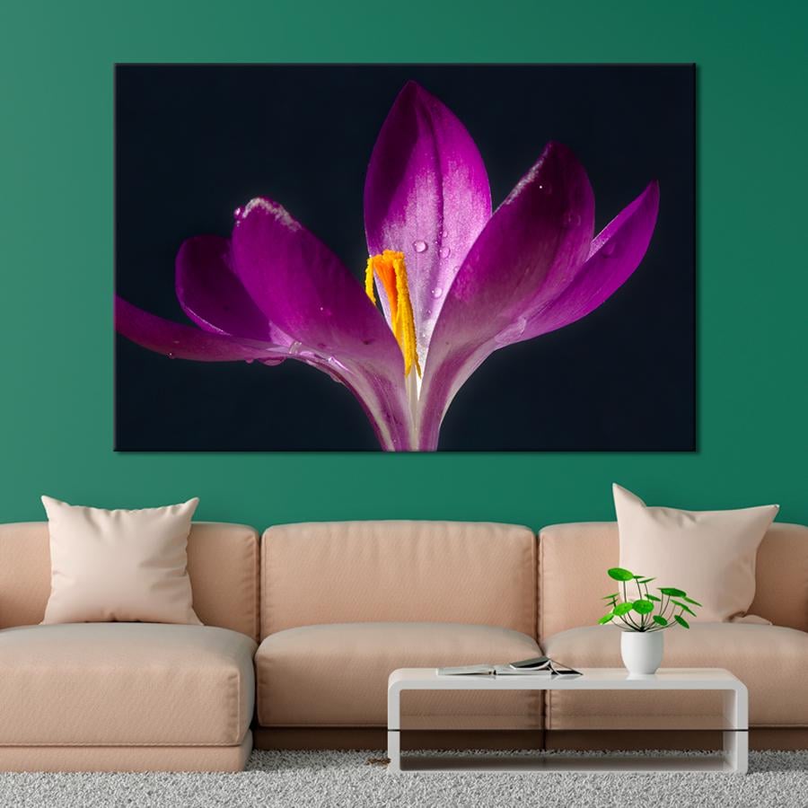 Картина цветы и растения Цветок Шафран Томазини 80x54 см (A1045-1)