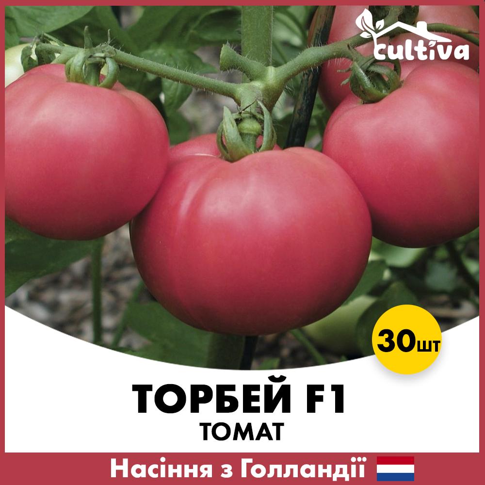 Семена томата Bejo Торбей F1 30 шт. (0020530)
