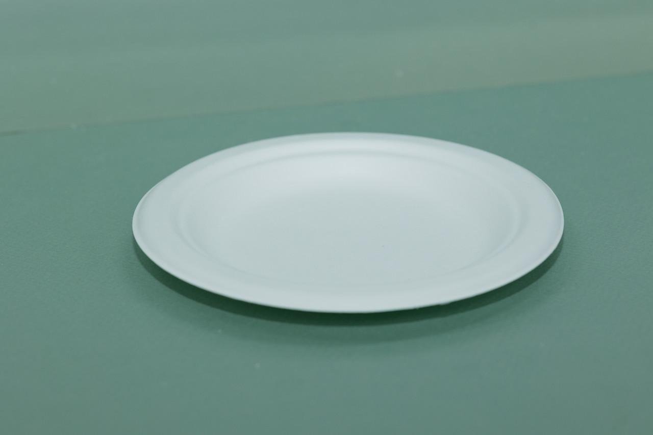 Тарелка одноразовая 15,5 см 125 шт. - фото 4 Тарелка одноразовая 15,5 см 125 шт. - фото 4