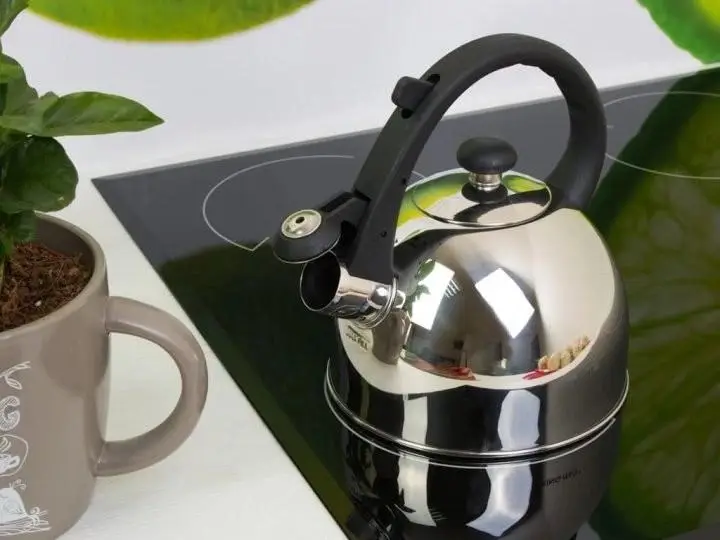 Чайник со свистком Edenberg EB-1971 1,5 л (8-6-4625229)